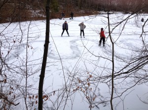pond skating